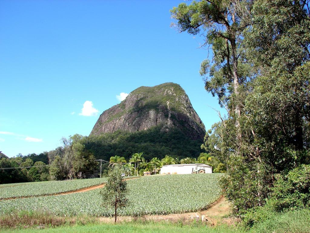 Glass House Mountains Ecolodge المظهر الخارجي الصورة